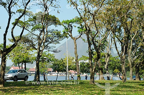  Árvores às margens da Lagoa Rodrigo de Freitas  - Rio de Janeiro - Rio de Janeiro (RJ) - Brasil
