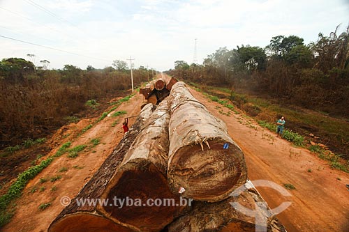  Transporte de madeiras na Rodovia BR-319 - entre Manaus Humaitá  - Manaus - Amazonas (AM) - Brasil