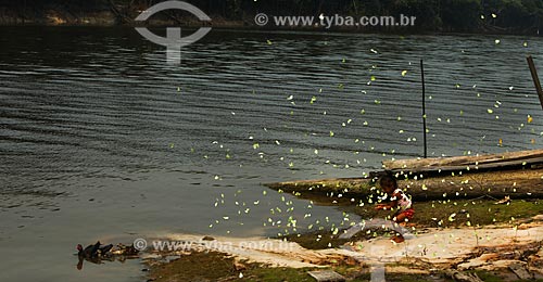  Criança ribeirinha às margens do Rio Igapó-Açu brincando com as borboletas  - Manaus - Amazonas (AM) - Brasil