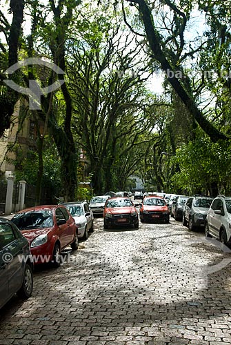  Vista geral da Rua Gonçalo de Carvalho - rua com um corredor de tipuanas, considerada patrimônio ambiental pela prefeitura de Porto Alegre  - Porto Alegre - Rio Grande do Sul (RS) - Brasil