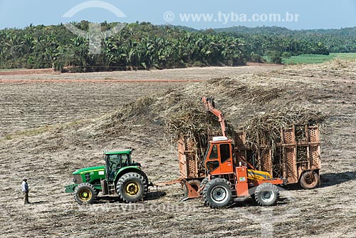  Máquinas agrícolas durante a colheita da cana-de-açúcar com a Mata dos Cocais ao fundo  - Teresina - Piauí (PI) - Brasil