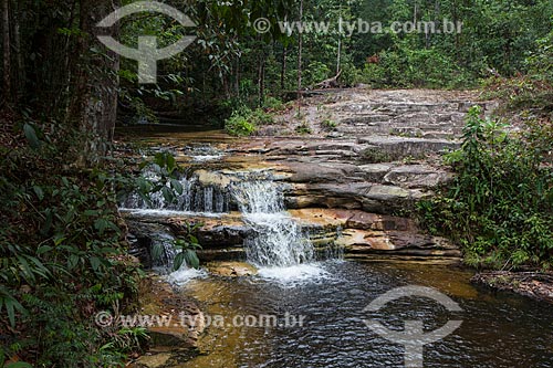  Vista da Cachoeira da Sussuarana  - Presidente Figueiredo - Amazonas (AM) - Brasil