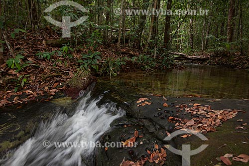  Vista da igarapé próximo a cidade de Presidente Figueiredo  - Presidente Figueiredo - Amazonas (AM) - Brasil