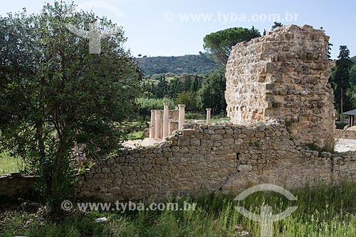  Entrada da Villa Romana del Casale - antiga palácio construído no século IV  - Piazza Armerina - Província de Enna - Itália