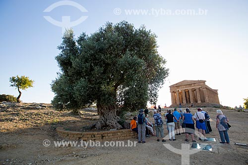  Turistas no Valle dei Templi (Vale dos Templos) - antiga cidade grega de Akragas - com o Templo de Concórdia ao fundo  - Agrigento - Província de Agrigento - Itália