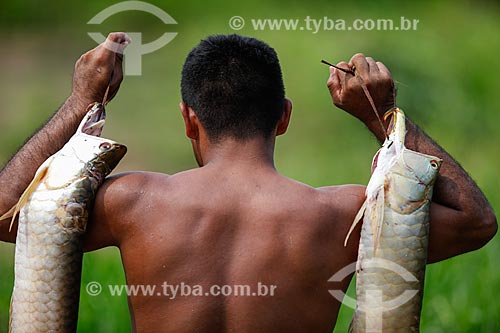  Homem ribeirinho carregando o peixe aruanã  - Manaus - Amazonas (AM) - Brasil