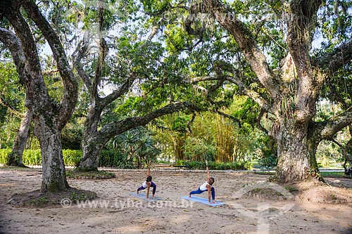  Mulheres praticando Yoga no Jardim Botânico do Rio de Janeiro  - Rio de Janeiro - Rio de Janeiro (RJ) - Brasil