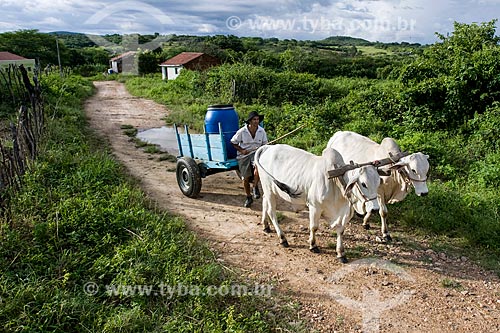  Homem transportando de água em carro de boi no sertão de pernambuco  - Tabira - Pernambuco (PE) - Brasil