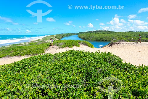  Dunas no litoral da cidade de Jequiá da Praia  - Jequiá da Praia - Alagoas (AL) - Brasil