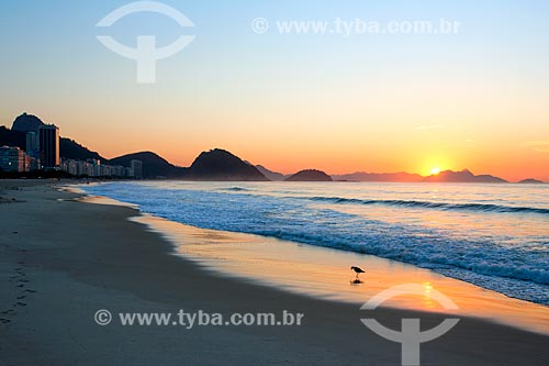  Nascer do sol na praia de Copacabana  - Rio de Janeiro - Rio de Janeiro (RJ) - Brasil