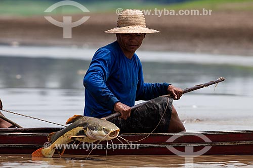  Ribeirinho pescando pirarara (Phractocephalus hemioliopterus) no Rio Amazonas  - Manaus - Amazonas (AM) - Brasil