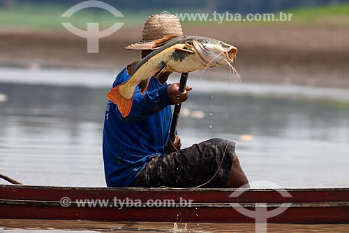  Ribeirinho pescando pirarara (Phractocephalus hemioliopterus) no Rio Amazonas  - Manaus - Amazonas (AM) - Brasil