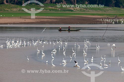  Canoa com ribeirinhos no Rio Amazonas  - Manaus - Amazonas (AM) - Brasil