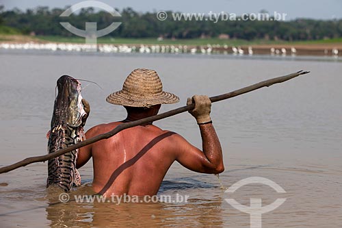  Ribeirinho pescando surubim-pintado (Pseudoplatystoma corruscans) - também conhecido como pintado - no Rio Amazonas  - Manaus - Amazonas (AM) - Brasil