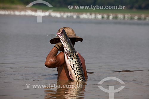  Ribeirinho pescando surubim-pintado (Pseudoplatystoma corruscans) - também conhecido como pintado - no Rio Amazonas  - Manaus - Amazonas (AM) - Brasil