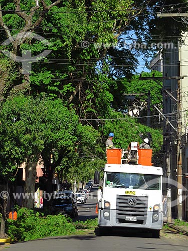  Funcionários da Henerge - concessionária de serviços de transmissão de energia do Rio Grande do Sul - podando árvore  - Porto Alegre - Rio Grande do Sul (RS) - Brasil