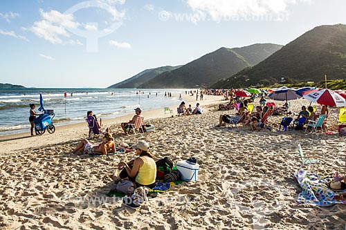  Praia dos Açores  - Florianópolis - Santa Catarina (SC) - Brasil