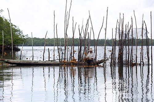  Pescador na Baía de Camamu  - Camamu - Bahia (BA) - Brasil