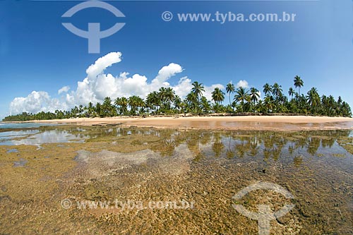  Piscina natural na praia de taipús de fora  - Maraú - Bahia (BA) - Brasil