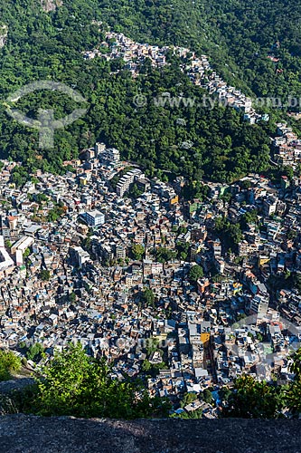  Vista da favela da Rocinha a partir da trilha para o Morro Dois Irmãos  - Rio de Janeiro - Rio de Janeiro (RJ) - Brasil
