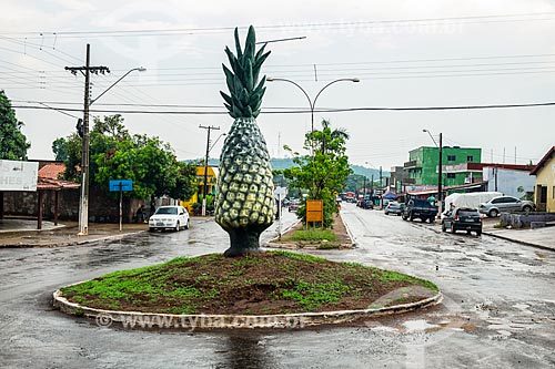  Escultura de abacaxi em rotatória no cruzamento da Avenida Tocantins com a Avenida Bernardo Sayão  - Miracema do Tocantins - Tocantins (TO) - Brasil