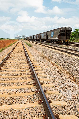  Trem da VLI Multimodal S.A. no Pátio Intermodal de Porto Nacional com a área de Transbordo Ferroviário de Grãos da Agrex do Brasil ao fundo  - Porto Nacional - Tocantins (TO) - Brasil
