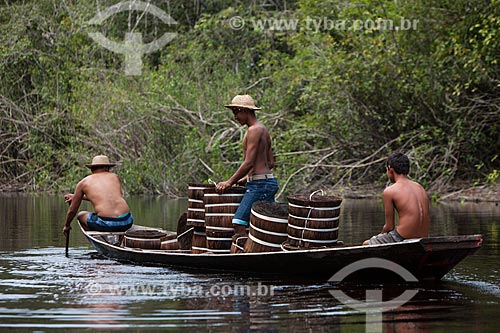  Transporte de piaçava (Attalea funifera) pelo Rio Negro  - Barcelos - Amazonas (AM) - Brasil