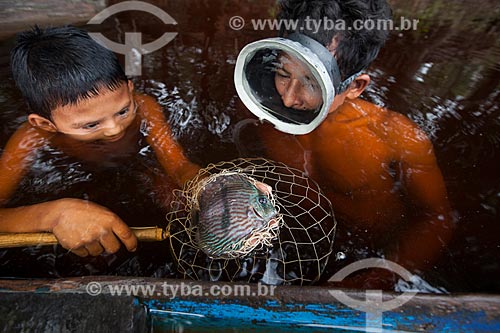  Detalhe de meninos ribeirinhos pescando Acará-Disco Hekel (Symphysodon discus) no Rio Negro  - Barcelos - Amazonas (AM) - Brasil