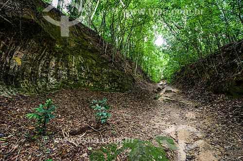  Trilha para o Açude do Camorim no Núcleo Camorim - Sub-sede do Parque Estadual da Pedra Branca  - Rio de Janeiro - Rio de Janeiro (RJ) - Brasil