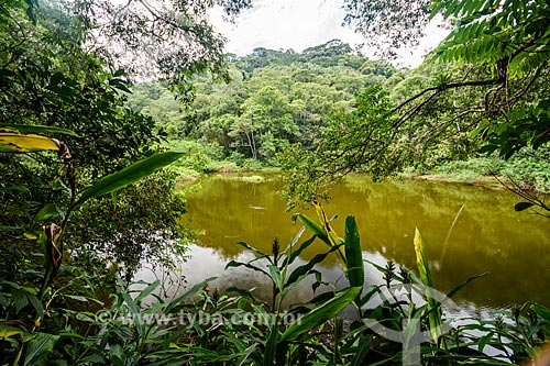  Vista do Açude do Camorim no Núcleo Camorim - Sub-sede do Parque Estadual da Pedra Branca  - Rio de Janeiro - Rio de Janeiro (RJ) - Brasil