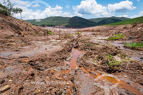  Vista geral de parte do distrito de Bento Rodrigues após o rompimento de barragem de rejeitos de mineração da empresa Samarco em Mariana (MG)  - Mariana - Minas Gerais (MG) - Brasil