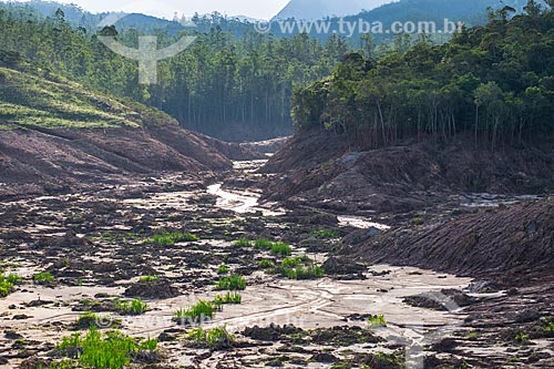  Afluente do Rio Gualaxo do Norte no distrito de Bento Rodrigues após o rompimento de barragem de rejeitos de mineração da empresa Samarco em Mariana (MG)  - Mariana - Minas Gerais (MG) - Brasil