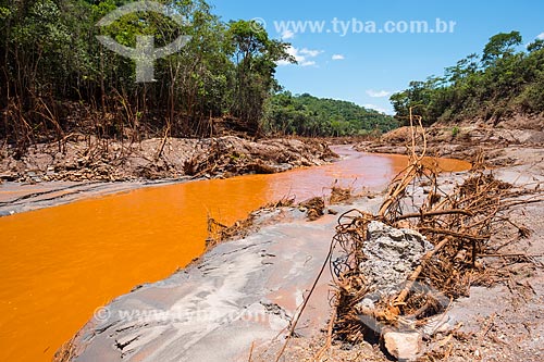  Rio Gualaxo do Norte no distrito de Monsenhor Horta após o rompimento de barragem de rejeitos de mineração da empresa Samarco em Mariana (MG)  - Mariana - Minas Gerais (MG) - Brasil
