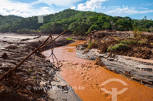  Rio Gualaxo do Norte no distrito de Paracatu de Baixo após o rompimento de barragem de rejeitos de mineração da empresa Samarco em Mariana (MG)  - Mariana - Minas Gerais (MG) - Brasil