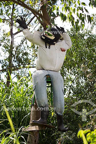  Espantalho com capacete em frente ao Sítio Nono  - Dores de Campos - Minas Gerais (MG) - Brasil