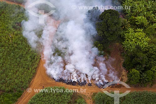  Queimada de plantação de cana-de-açúcar  - Ipojuca - Pernambuco (PE) - Brasil