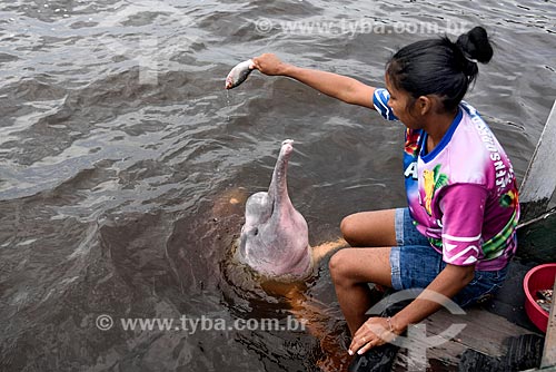  Instrutora do flutuante dos botos alimentando boto-cor-de-rosa (Inia geoffrensis) no Parque Nacional de Anavilhanas  - Novo Airão - Amazonas (AM) - Brasil