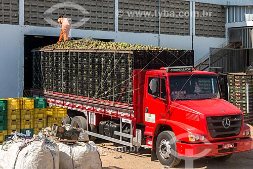 Caminhão transportando mangas para mercado interno no pátio de empresa embaladora - Packing House - Projeto Nilo Coelho - Vale do São Francisco  - Petrolina - Pernambuco (PE) - Brasil