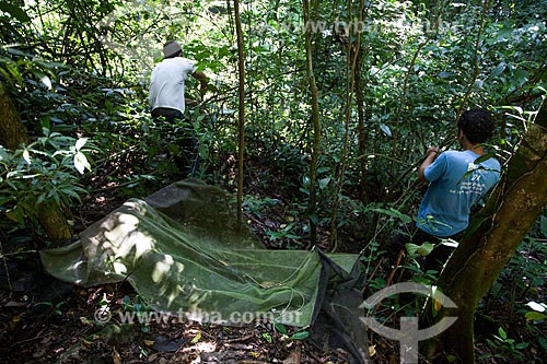  Pesquisadores armando armadilha de barreira de vôo (Malésia) para capturar insetos na sede Guapimirm do Parque Nacional da Serra dos Órgãos  - Guapimirim - Rio de Janeiro (RJ) - Brasil