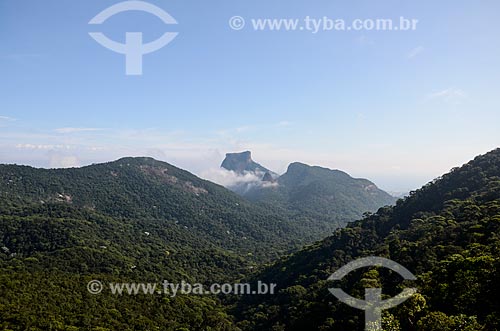  Vista geral a partir da trilha do Morro do Queimado com a Pedra da Gávea ao fundo  - Rio de Janeiro - Rio de Janeiro (RJ) - Brasil