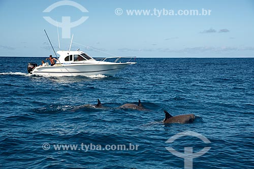  Golfinhos-nariz-de-garrafa (Tursiops truncatus) próximo à lancha no litoral de Maurício  - Maurício