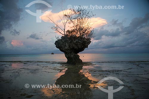  Formação rochosa na orla da Ilha de Pemba  - Ilha de Pemba - Tanzânia