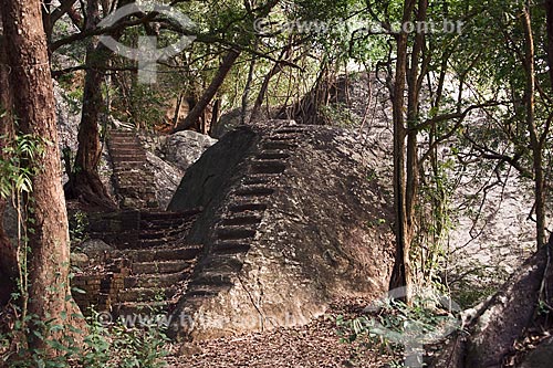  Trilha na floresta do antigo Monastério Pidurangala  - Sri Lanka