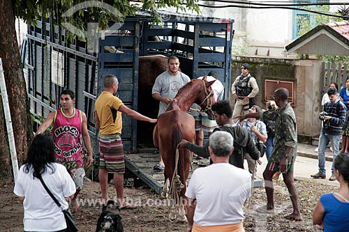  Embarque dos cavalos da Ilha de Paquetá após proibição de veículos de tração animal  - Rio de Janeiro - Rio de Janeiro (RJ) - Brasil