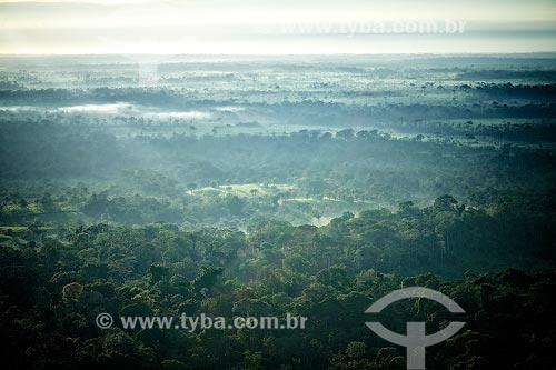  Vista geral da Floresta Amazônica  - Acre (AC) - Brasil