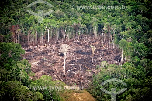  Foto aérea de clareira na Floresta Amazônica  - Acre (AC) - Brasil