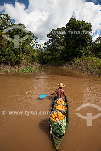  Trabalhador rural carregando cacau nativo na região do Rio Madeira durante a colheita  - Novo Aripuanã - Amazonas (AM) - Brasil