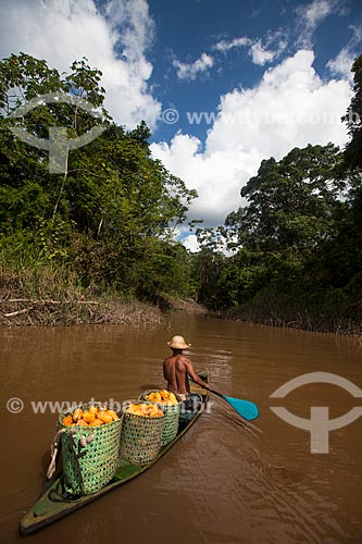  Trabalhador rural carregando cacau nativo na região do Rio Madeira durante a colheita  - Novo Aripuanã - Amazonas (AM) - Brasil