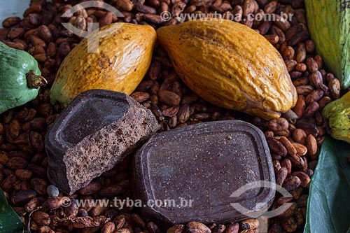  Detalhe de cacau nativo em barra, caroço e fruto na região do Rio Madeira  - Novo Aripuanã - Amazonas (AM) - Brasil