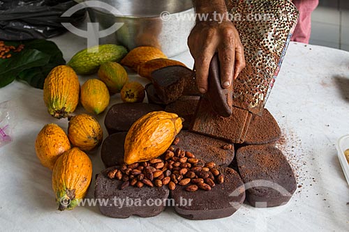  Detalhe de cacau nativo em barra, caroço e fruto na região do Rio Madeira  - Novo Aripuanã - Amazonas (AM) - Brasil